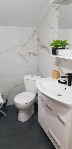 Ένα μπάνιο στο Apartman M&B - Kuća za odmor-Karanovac