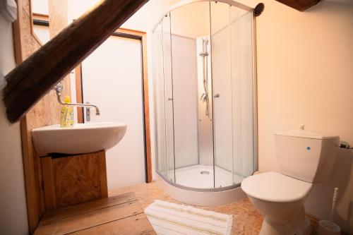 a bathroom with a shower and a toilet and a sink at Chalupa Jilem in Jilem