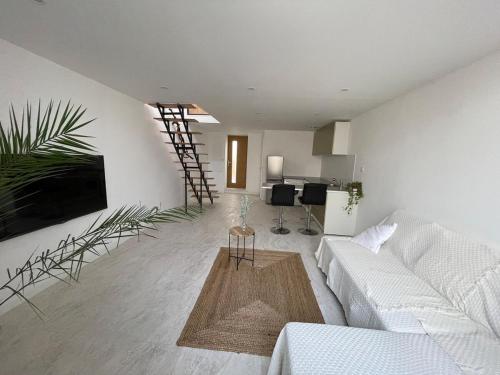 Duplex appartement