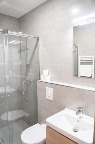a bathroom with a shower toilet and a sink at Mikes Home in Balatonfüred