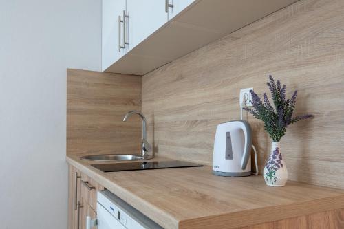 a kitchen with a sink and a counter with a sink at Gabriel in Neum
