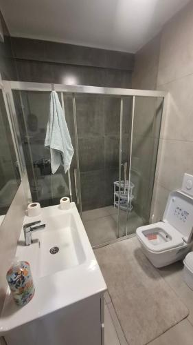 Un baño con ducha, lavabo e inodoro. en Lorent Apartment, en Prizren