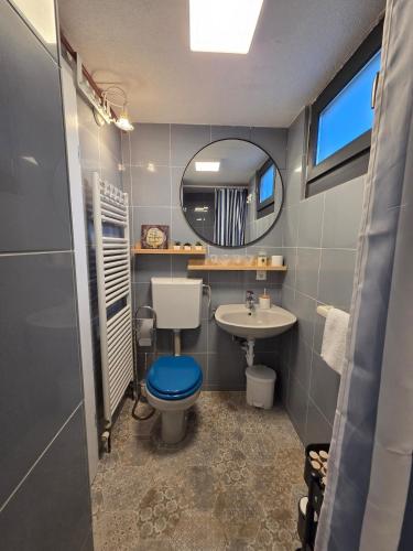a bathroom with a toilet and a sink and a mirror at Kuća za odmor MIRTA in Grkavešćak