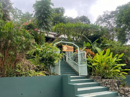 a set of stairs in a garden with plants at Kika Zaru Free park tour, massage and breakfast in Quepos