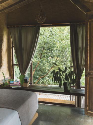 a bedroom with a window with a plant in front of it at Cabañas en la montaña Viga Vieja in San Peregrino