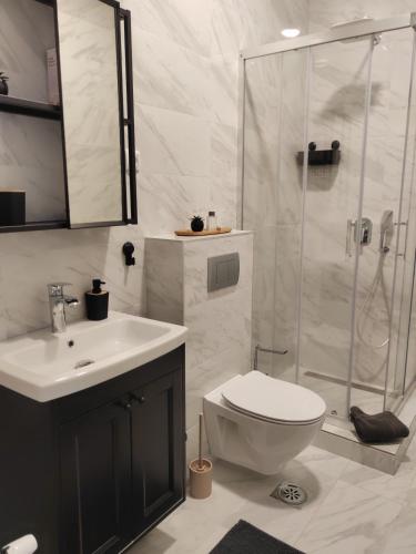 a bathroom with a shower and a toilet and a sink at Apartman Lola Palić I in Palić
