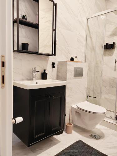 a bathroom with a toilet and a sink and a shower at Apartman Lola Palić I in Palić