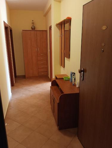 a bathroom with a sink and a wooden door at Apartman Jadranka in Zaboric