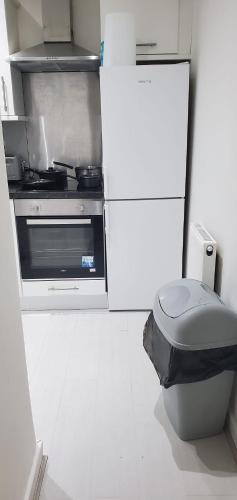 Η κουζίνα ή μικρή κουζίνα στο Cosy and Bright 3-bedroom flat