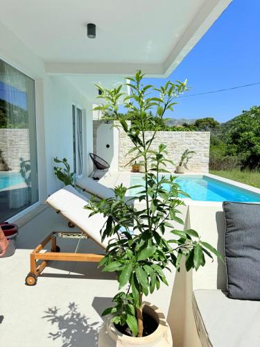 Pool 4 Leisure Dubrovnik