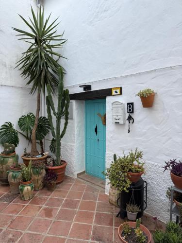 una porta blu in un edificio bianco con piante in vaso di Ar2N San Pedro 8 a Genalguacil