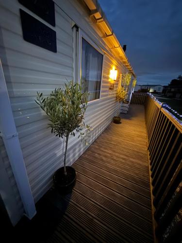 a porch with a potted plant on the side of a house at Andreas Fir Trees Retreat at 7 Lakes Country Park in Crowle