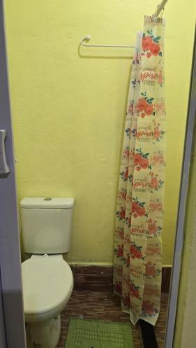 a bathroom with a toilet and a shower curtain at Apto D com cozinha em Macapá in Macapá