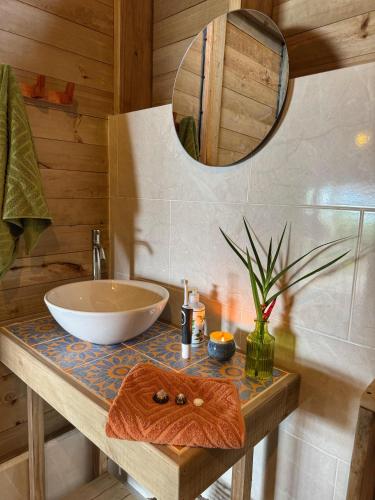 a bathroom with a counter with a sink and a mirror at Madre Selva Eco Lodge in Nuquí