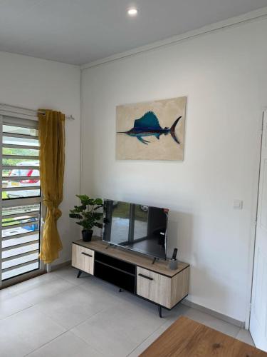 TV a/nebo společenská místnost v ubytování Blue House Lodge