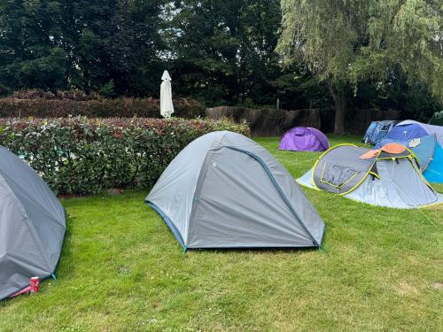a group of three tents sitting in the grass at Tents @ Tomorrowland in Rumst