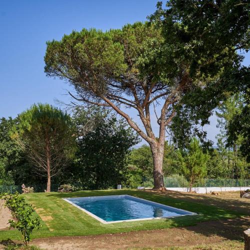 a swimming pool in a yard with a tree at Sky House by Everkind in Bicas