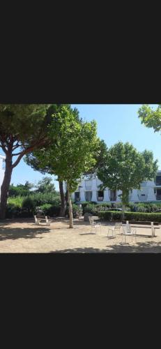 Appart et terrasse