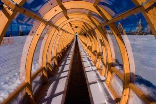a view from the inside of a wooden tunnel at Aotearoa - Mountain apartment in Bavaria, Mitterdorf - Mitterfirmiansreut in Mitterfirmiansreut