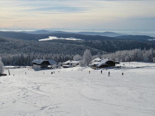 a group of people skiing down a snow covered slope at Aotearoa - Mountain apartment in Bavaria, Mitterdorf - Mitterfirmiansreut in Mitterfirmiansreut