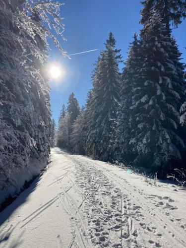 a snow covered road with trees and the sun in the sky at Aotearoa - Mountain apartment in Bavaria, Mitterdorf - Mitterfirmiansreut in Mitterfirmiansreut