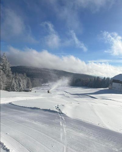 a snow covered field with tracks in the snow at Aotearoa - Mountain apartment in Bavaria, Mitterdorf - Mitterfirmiansreut in Mitterfirmiansreut