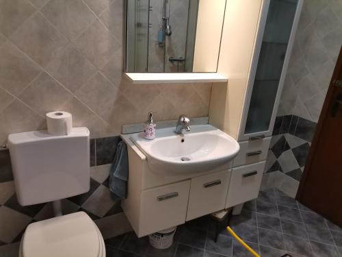 a bathroom with a sink and a toilet and a mirror at Apparemment in zona residenziale in Pordenone