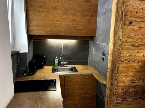 a kitchen with a sink and a counter top at Kitz-Studio in Größing