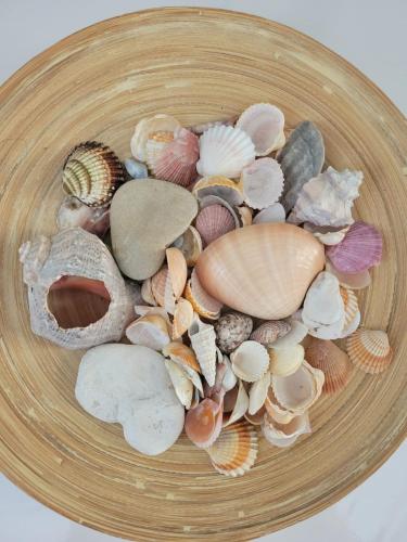a bowl full of shells on a table at Pixel Sea Home a Misano Brasile 300 m dal mare e free parking, Misano World Circuit a 7 minuti di macchina in Misano Adriatico