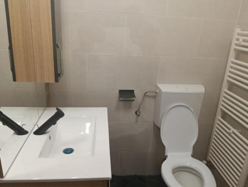 Koupelna v ubytování Spital 1 cameră studio