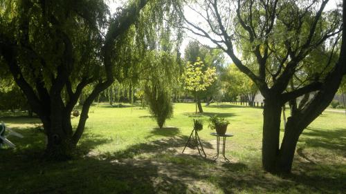 Taman di luar Posada del Viajero San Rafael