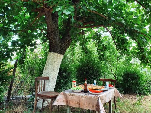 a table with food on it under a tree at Mark Toma Guesthouse 