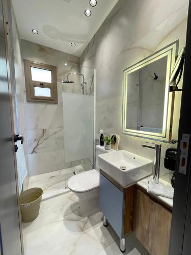 a bathroom with a sink and a toilet and a shower at Luxury Studio House 392-4 in 6th Of October