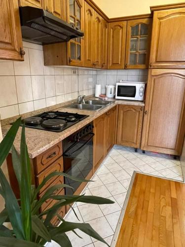 Split Center Apartman Dobri