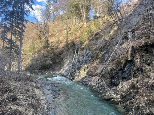 a river in the middle of a hill with trees at Obermöschach 9B in Obermöschach