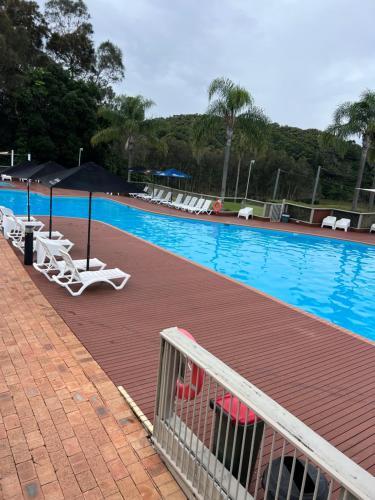a swimming pool with chairs and umbrellas next to it at Absolute Beachfront Opal Cove Resort in Coffs Harbour