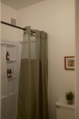 a green shower curtain hanging in a bathroom at Modern Character Downtown Fargo in Fargo