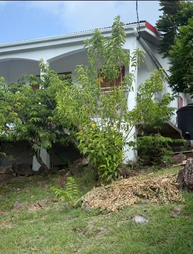 Ein Garten an der Unterkunft Les douceurs de la Baie