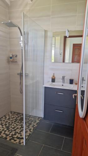 ein Badezimmer mit Dusche und Waschbecken in der Unterkunft Les douceurs de la Baie in Terre de Bas
