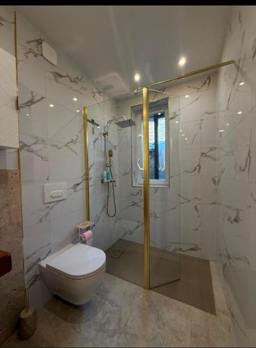 une salle de bain avec toilettes et douche en verre dans l'établissement Cosy Maison Familiales, à La Llagonne