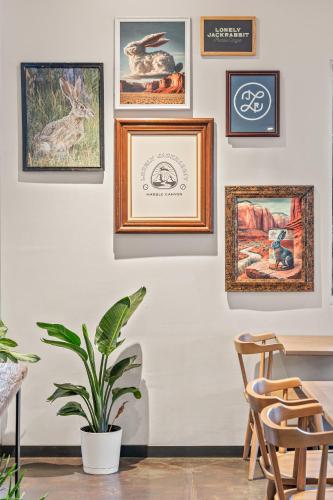 a wall with framed pictures and a potted plant at Marble Canyon Lodge in Marble Canyon
