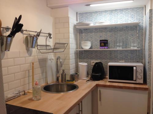 un comptoir de cuisine avec un évier et un micro-ondes dans l'établissement La Suite Presqu'Ile, à Lyon