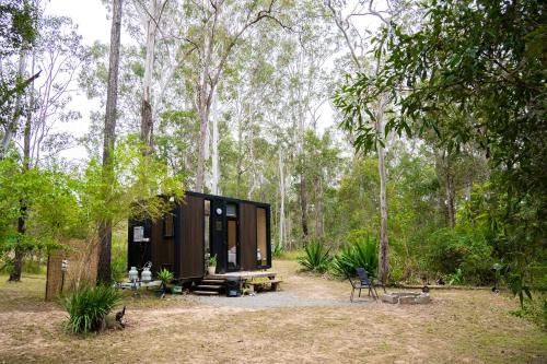 a small cabin in the woods with trees at Rocky Creek Escape by Tiny Away in Kanighan