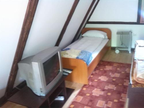 a small room with a tv and a bed at Dedina kuća 1937 in Mokra Gora