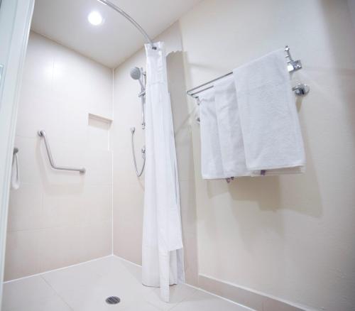 Ένα μπάνιο στο Holiday Inn Express Guadalajara Expo by IHG