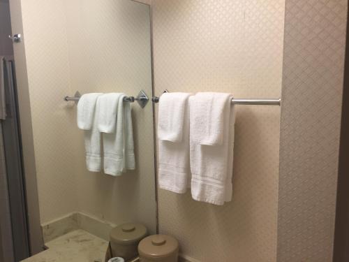 サンフランシスコにあるHotel Amariのバスルーム(白いタオル付)