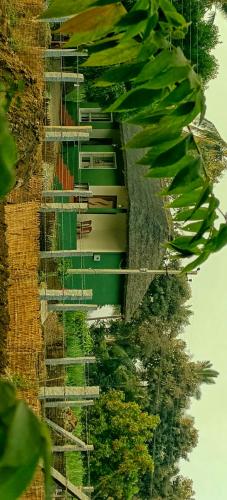 a row of sunflower plants in a field at Atharv FarmHouse in New Hampi