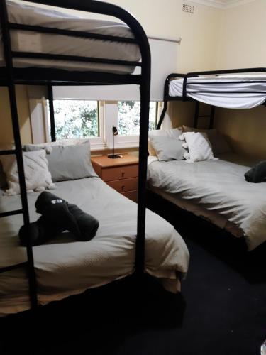 two bunk beds in a room with a window at Rubicon Views Cottage in Acheron