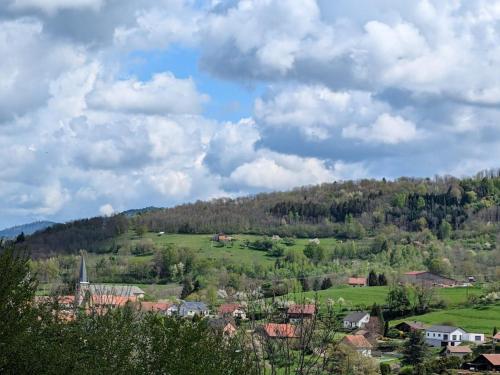 Gîte familial à La Croix-aux-Mines avec entrée privative - FR-1-589-826