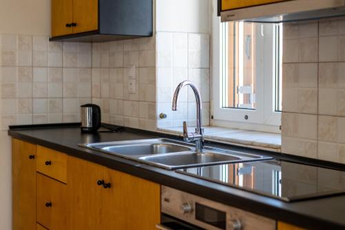 Kuchyň nebo kuchyňský kout v ubytování Mythos Suites-Aphrodite apartment